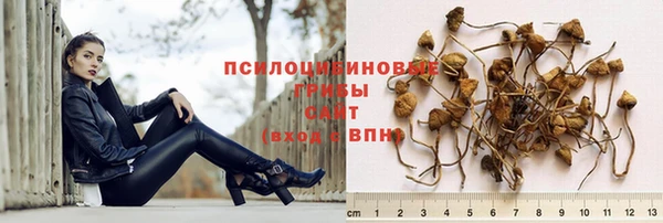 прущий лед Алексеевка